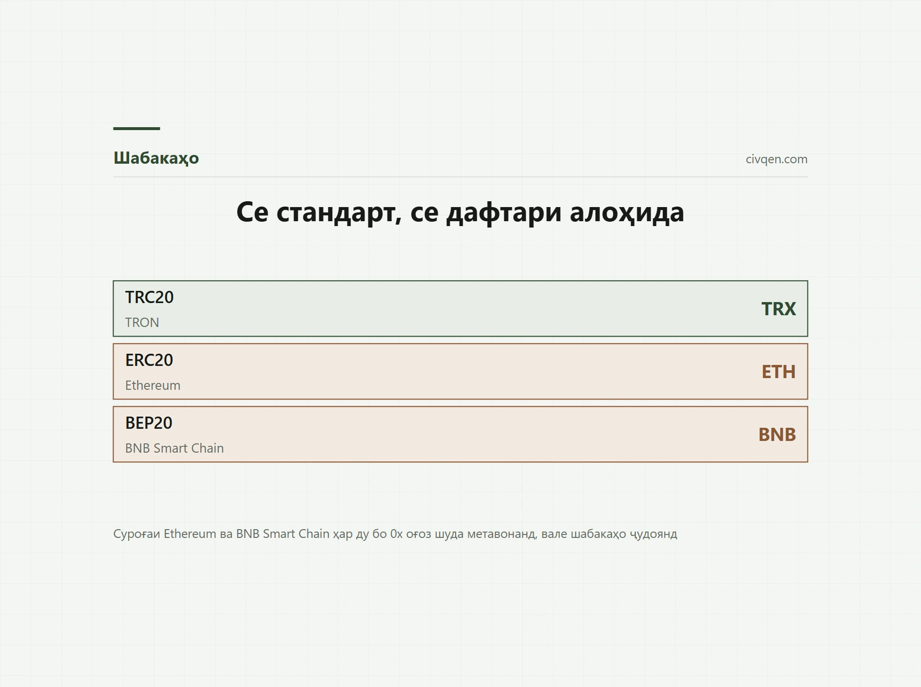 TRC20, ERC20 ё BEP20: шабакаи дурусти USDT